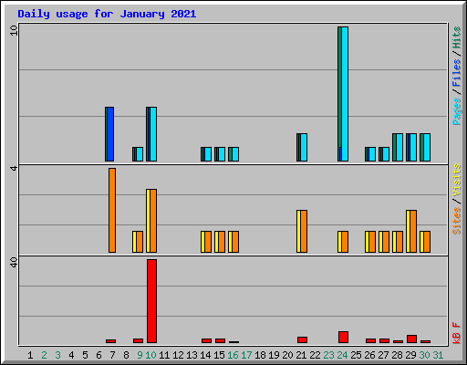 Daily usage for January 2021