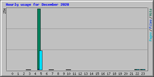 Hourly usage for December 2020