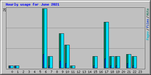 Hourly usage for June 2021