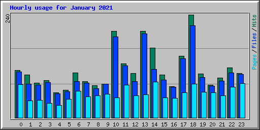 Hourly usage for January 2021