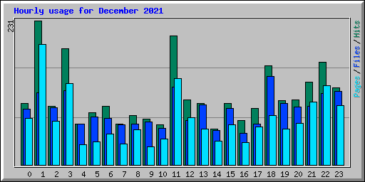Hourly usage for December 2021