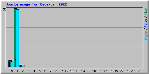 Hourly usage for December 2022